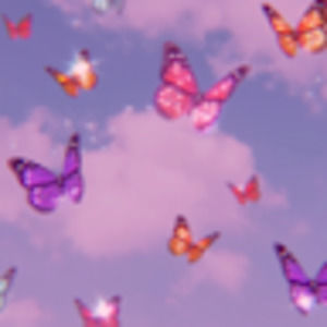 Meet your Posher, Max